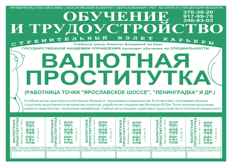 Обучение и трудоустройство (Валютная проститутка) автор kazey.ru