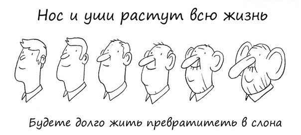 Нос и уши растут всю жизнь. Будете жить долго, превратитесь в слона.