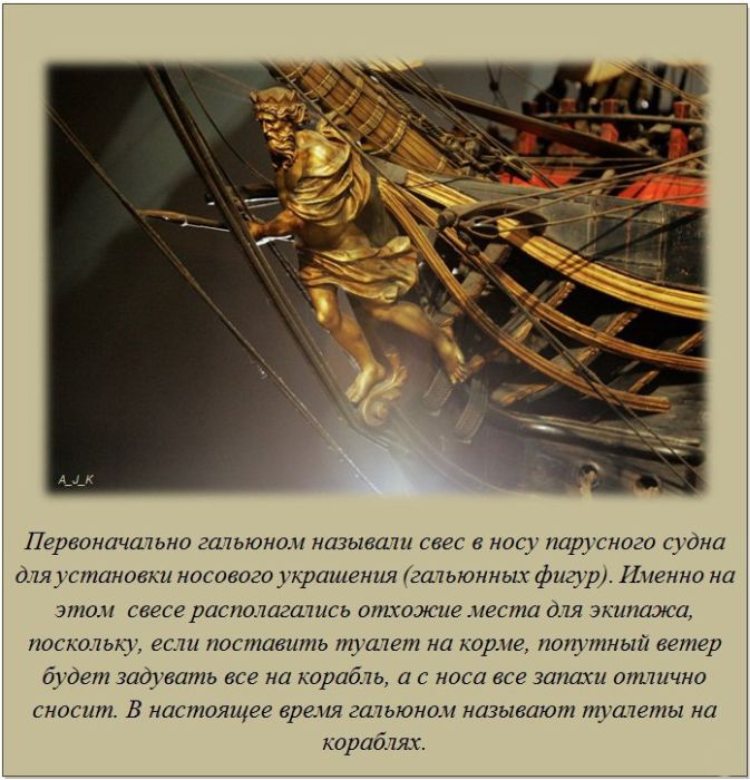 Что такое гальюн