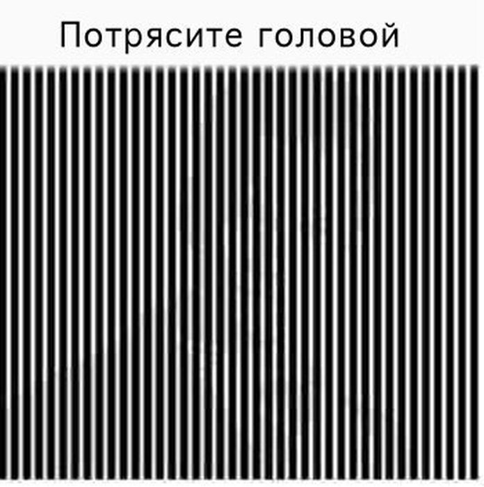 Потрясите головой и увидите фото