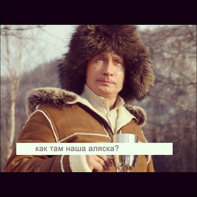 Как там наша аляска? :)