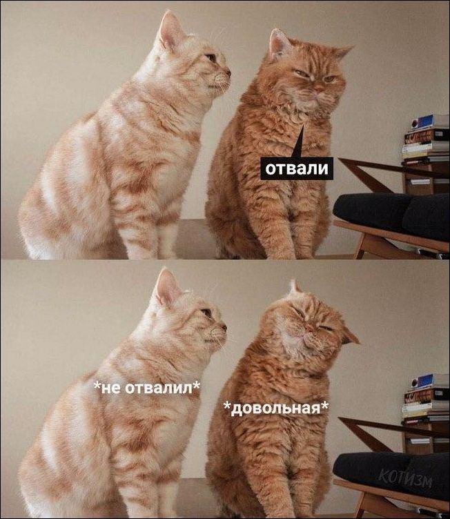 Отвали. Не отвалил. Довольна :)