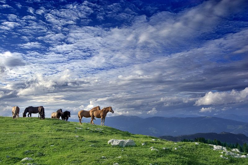 Лучшие фотографии по мнению Digital Camera Magazine