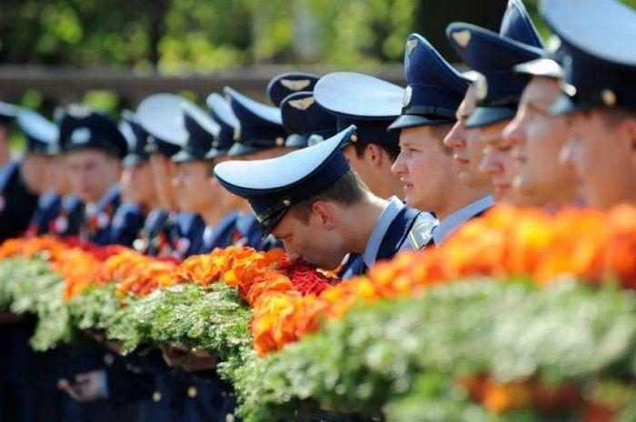 Цветы в строю