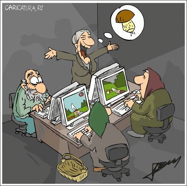 Новые походы по грибы