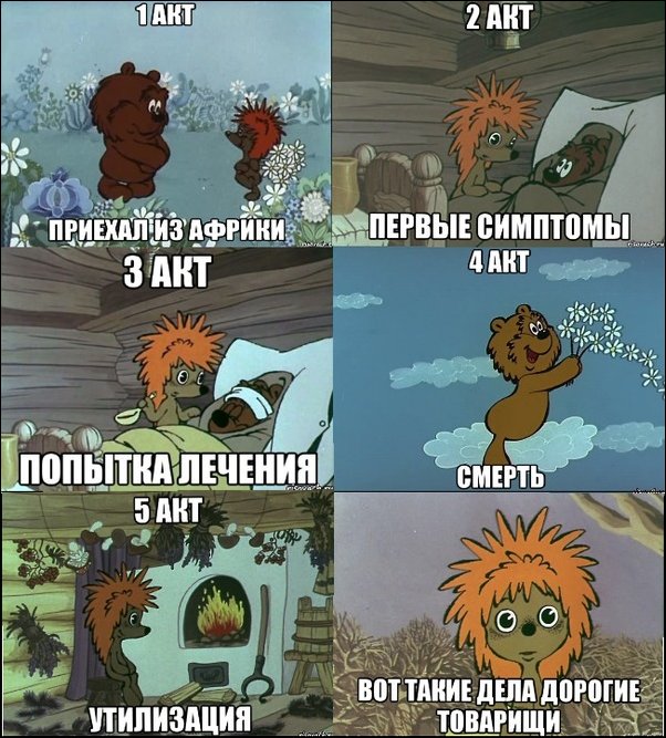 Приехал из Африки?