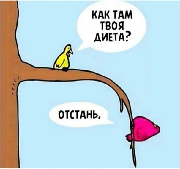 - Как там твоя диета? 
- Отстань..