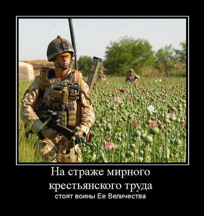 Они не уничтожают поля наркоты потому, что авганский крестьянин останется без еды. Они знают, что эта наркота попадёт в Россию. Так зачем им уничтожать эти поля. Пусть русские колятся. Пусть русские вымрут, а помогут этому авганцы и натовцы.
