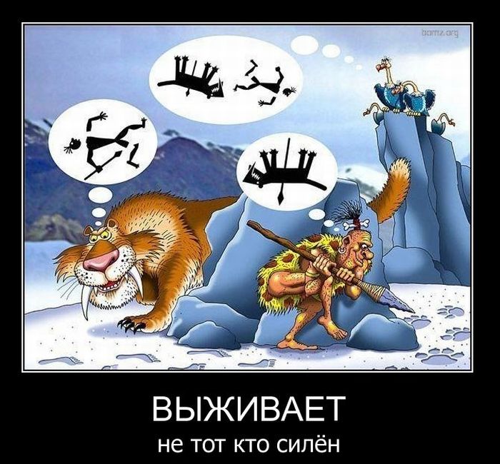 Выживет не тот кто силён