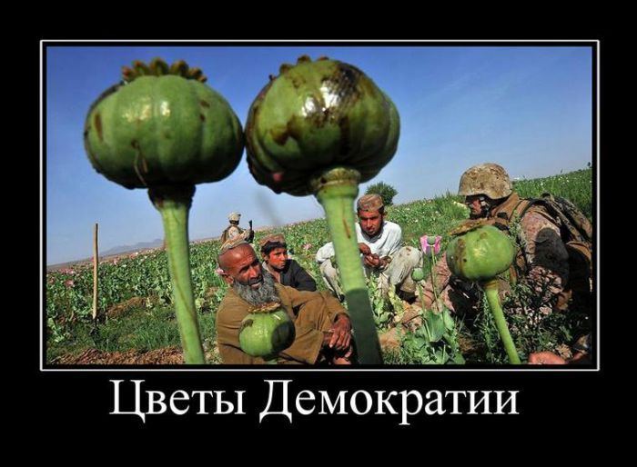 Цветы демократии