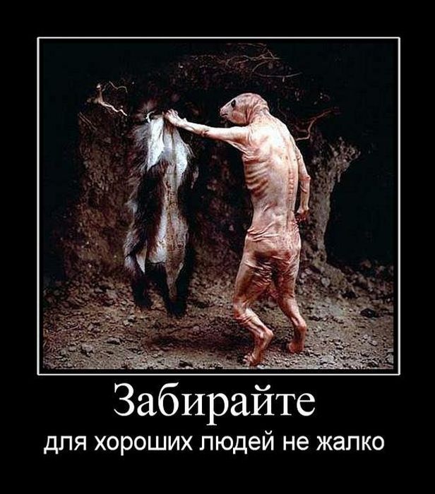 Забирайте мою шкуру, для хороших людей не жалко.