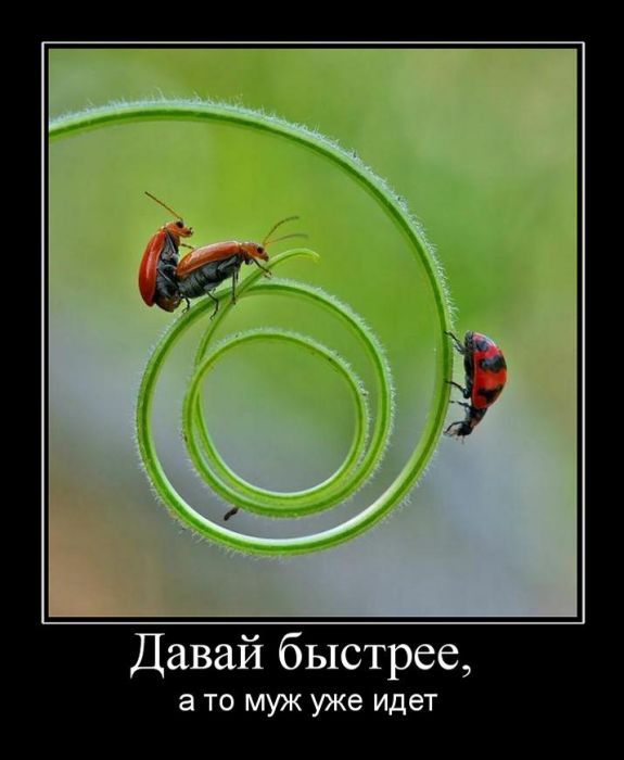 надо поспешить