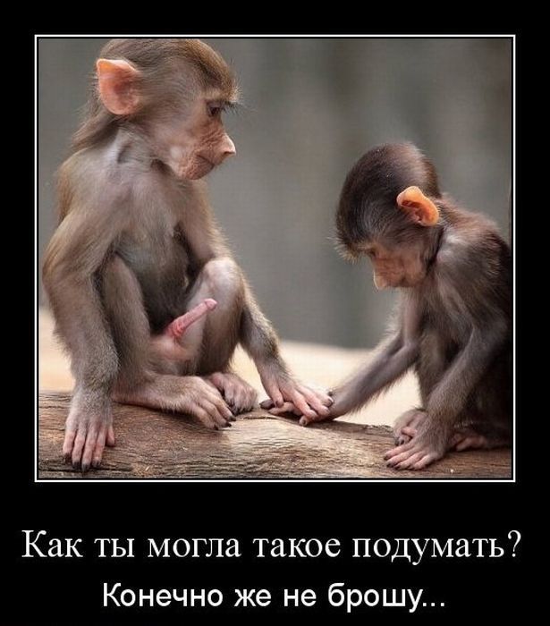 Любовь чиста