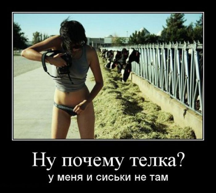 Ну почему называют тёлкой? У меня и сиськи не там!