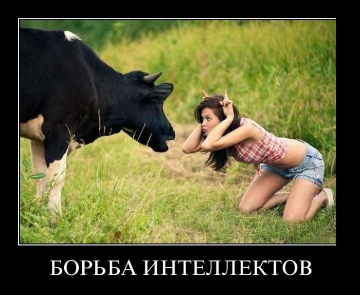 Тёлочка справа прикольная, а слева молоко даёт зато