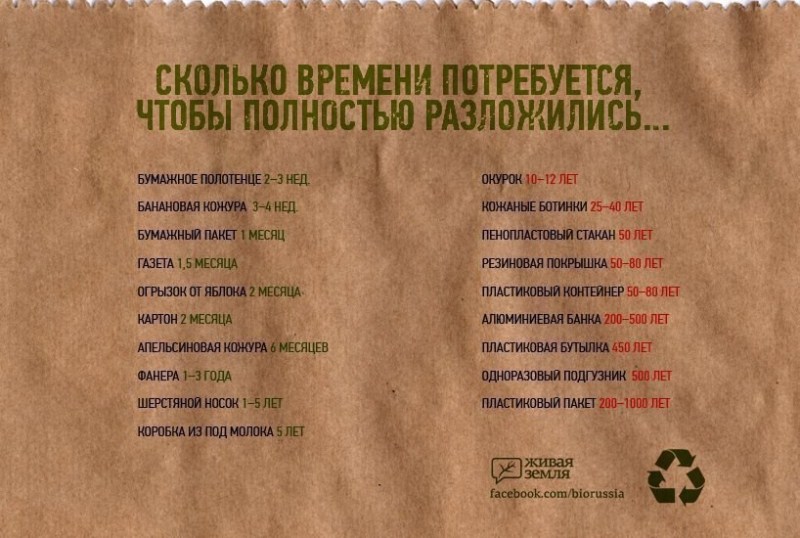Сколько времени потребуется, чтобы полностью разложились...