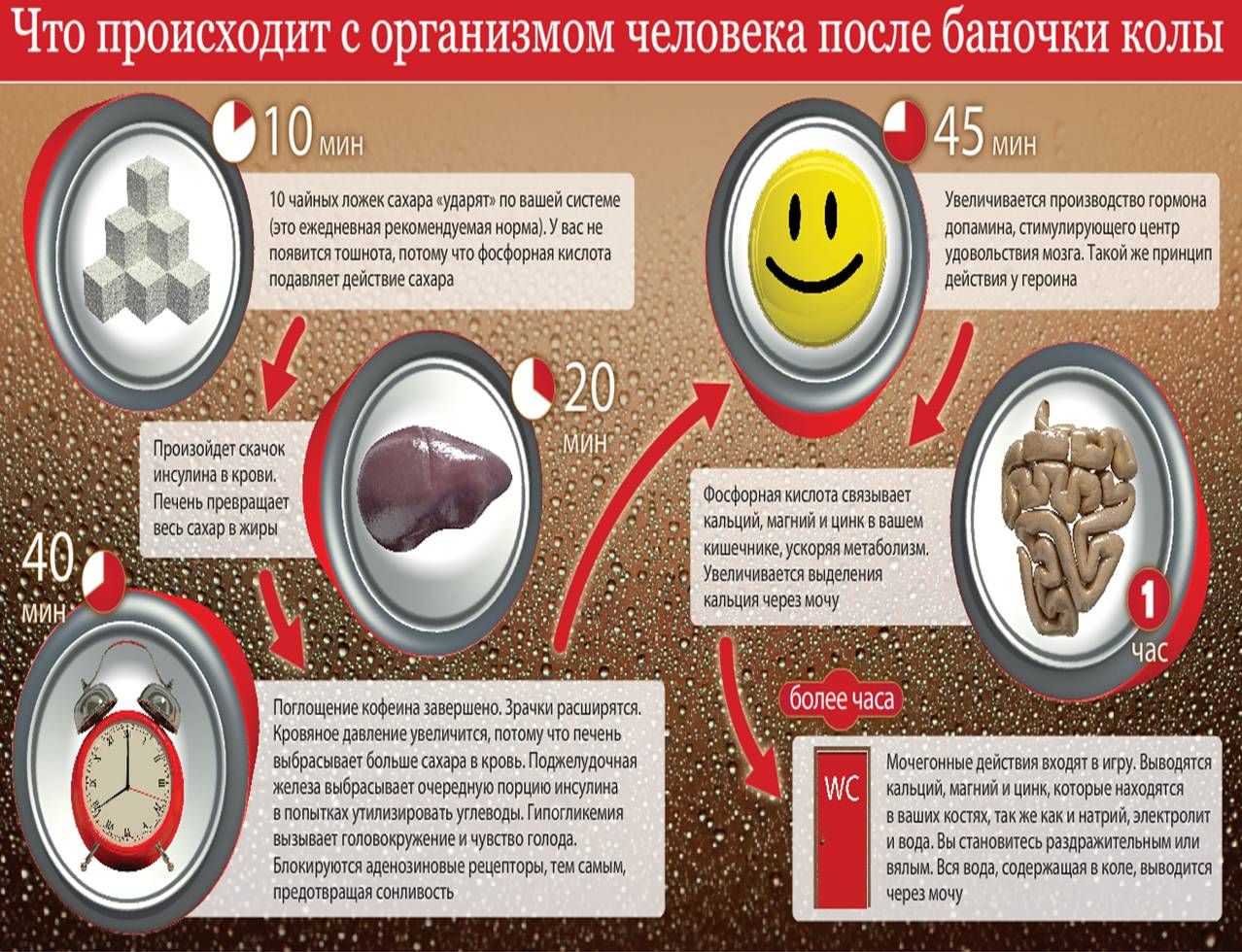 Что происходит с организмом после баночки колы