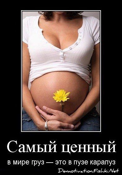 Самый ценный в мире груз - это в пузе карапуз
