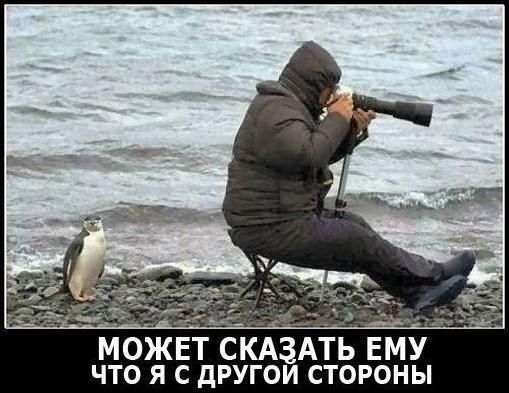 Может сказать ему, что я с другой стороны?