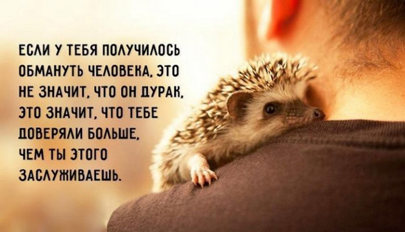 Если у тебя получилось обмануть человека, это не значит, что он дурак. Это значит, что тебе доверяли больше, чем ты этого заслуживаешь.