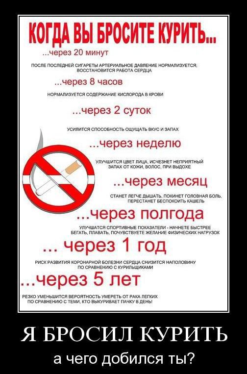 Я бросил курить, а чего добился ты?