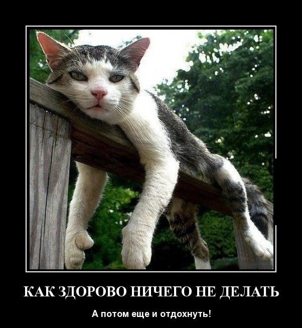 Как здорово ничего не делать, а потом ещё и отдохнуть!