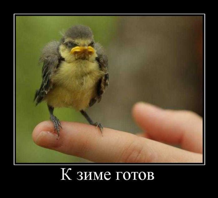 А Вы готовы к зиме?