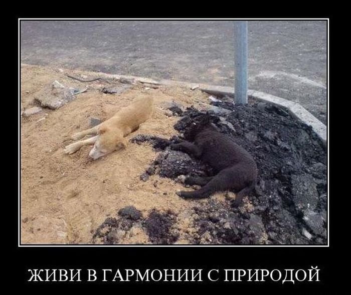 Стильно лежат