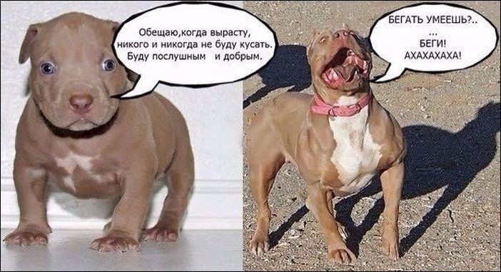 Обещаю когда вырасту никого не трогать
