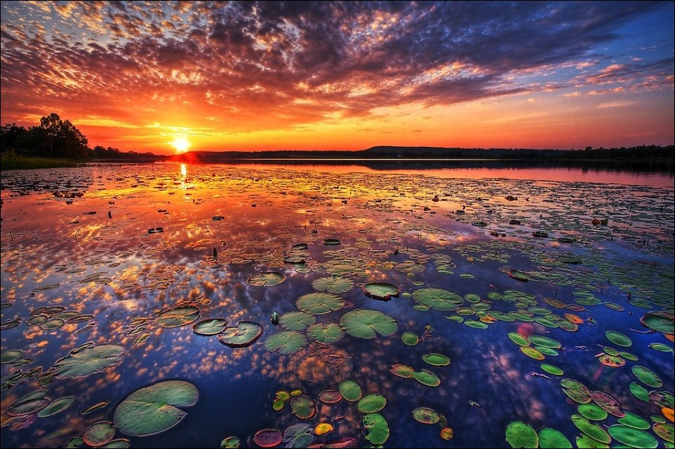 Закат над водой, трава на воде, красивая природа