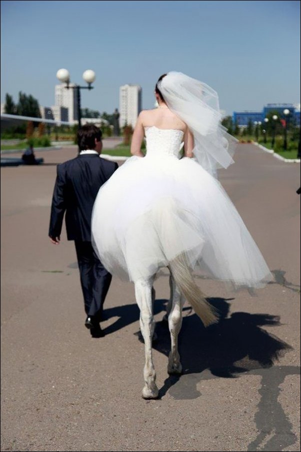Невеста лошадка