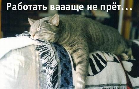 Работать не прет!