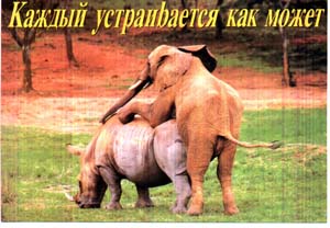 Голодный слоник!