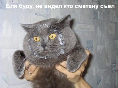 Не видел кто сметану съел