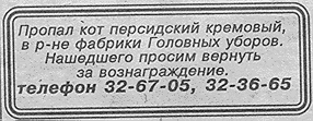 Пропал кот персидский кремовый, в районе фабрики головных уборов.