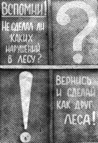 Вспомни не сделал ли каких нарушений в лесу? Вернись и сделай как друг леса!