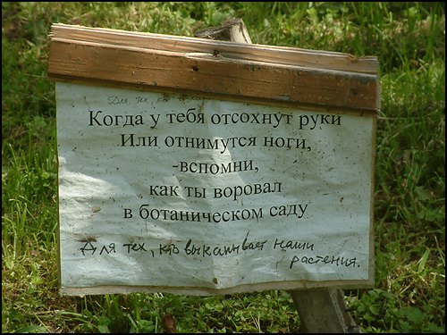 Грозное проклятие!