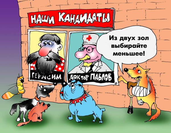Наши кандидаты