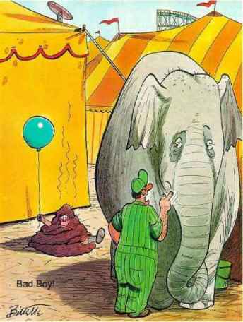 Плохой! Смотри куда ходишь!