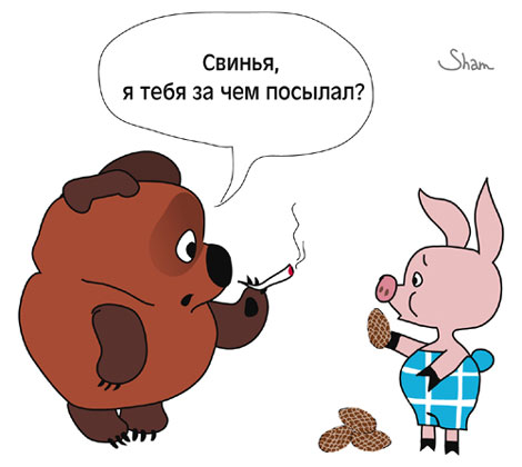Принес шишки